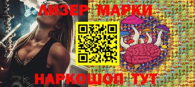 стафф Донской