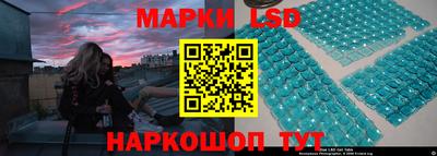 стафф Донской