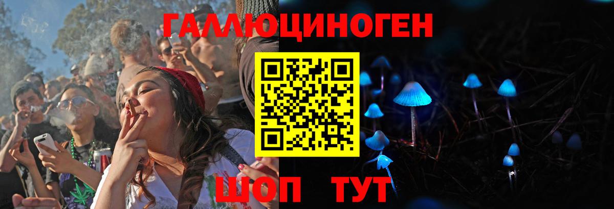что такое наркотик  Галлюциногенные грибы Psilocybe  Вход с VPN  Мыски 